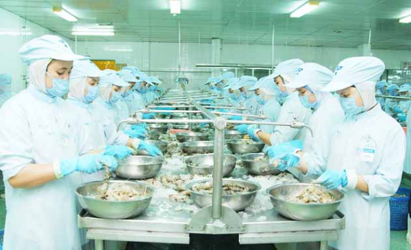 Ngành tôm trở lại 