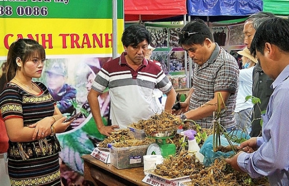 Quyền sở hữu công nghiệp: “Bảo bối” để cạnh tranh