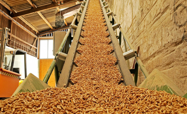 Hệ lụy lớn từ tăng thuế xuất dăm gỗ?