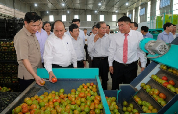 Nhiều rào cản “ngáng chân” doanh nghiệp đầu tư vào nông nghiệp