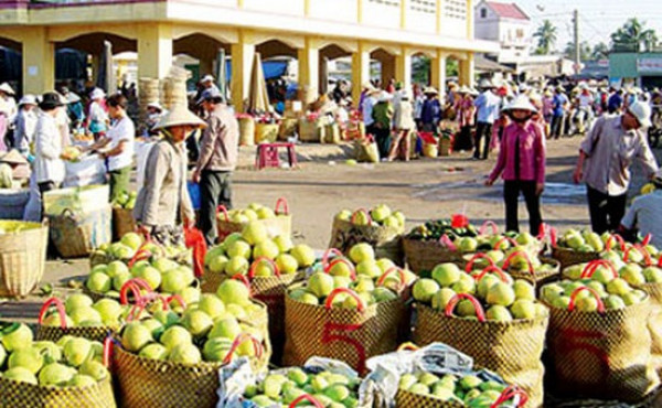 Loại bỏ tư duy xuất khẩu tiểu ngạch