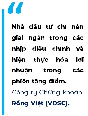 Dòng tiền nội dồi dào sẽ là điểm tựa cho thị trường tháng 7