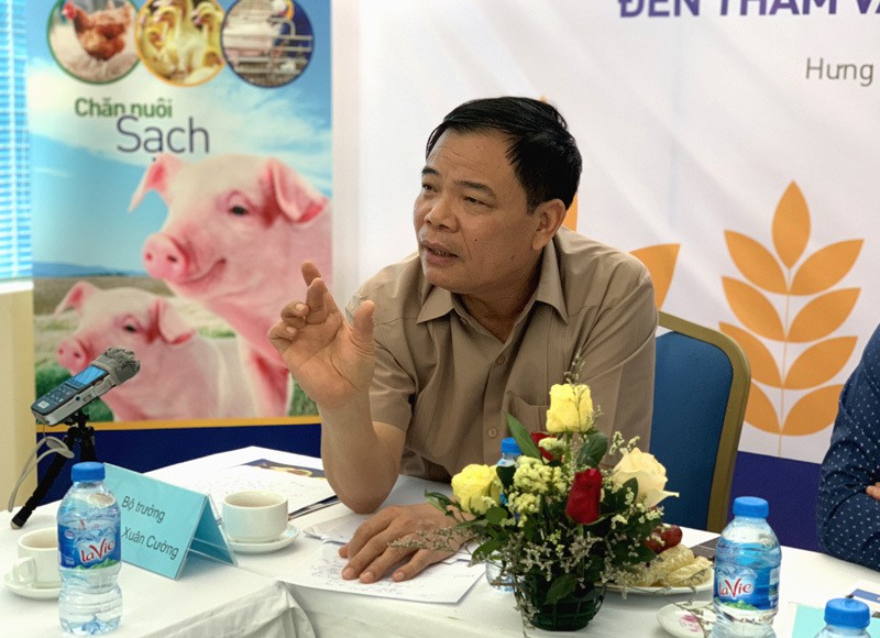 Kh&amp;ocirc;ng được xuất khẩu lợn sang Trung Quốc - Ảnh 1.