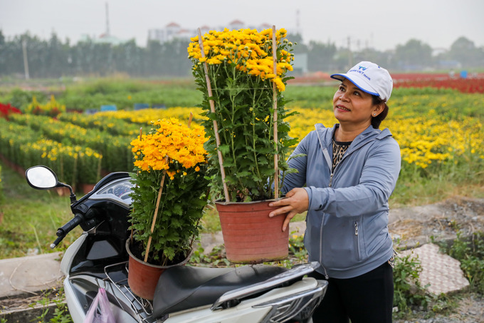 L&amp;agrave;ng hoa ở ngoại th&amp;agrave;nh S&amp;agrave;i G&amp;ograve;n v&amp;agrave;o vụ Tết