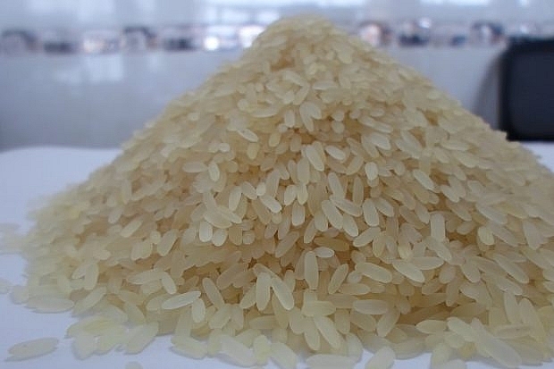 nhap khau gao do vao australia phai dap ung yeu cau moi