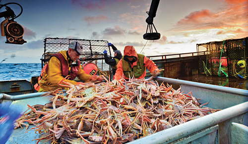 Hải sản v&amp;amp;ugrave;ng Alaska. Ảnh: Chris Miller.