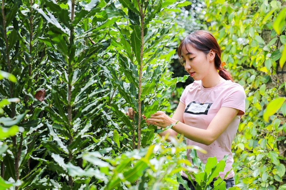 Nữ tỷ ph&amp;uacute; 9X truyền cảm hứng với h&amp;agrave;nh tr&amp;igrave;nh khởi nghiệp từ c&amp;acirc;y mắc ca - 2