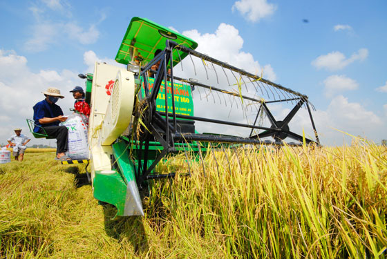 Phải sớm c&amp;oacute; thương hiệu n&amp;ocirc;ng sản Việt - Ảnh 1.