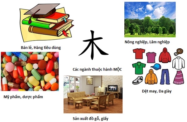 C&amp;amp;aacute;c ng&amp;amp;agrave;nh thuộc h&amp;amp;agrave;nh MỘC. Nguồn: NCĐT tổng hợp.