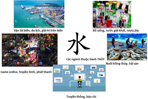 C&amp;amp;aacute;c ng&amp;amp;agrave;nh thuộc h&amp;amp;agrave;nh THỦY. Nguồn: NCĐT tổng hợp.