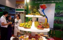 Thương hiệu rau quả Việt cần nhiều tiêu chuẩn để cạnh tranh ở EU