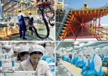 Các Luật chưa thống nhất nên việc khởi kiện doanh nghiệp nợ BHXH gặp khó khăn