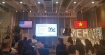 Cuộc cách mạng kỹ thuật số nửa thế kỷ qua đã trải qua những giai đoạn nào?