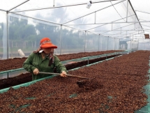 Cư Suê chuyển mình từ gian khó