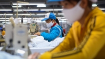 Hướng dẫn mới nhất về việc tạm dừng đóng vào Quỹ hưu trí và tử tuất