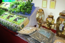 Quảng Nam: Tổ chức phiên chợ sâm Ngọc Linh bằng hình thức online