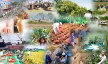 Bức tranh toàn cảnh kinh tế-xã hội năm 2018