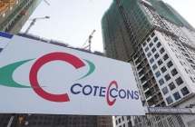 Ban Kiểm soát tố lãnh đạo Coteccons mắc nhiều sai phạm