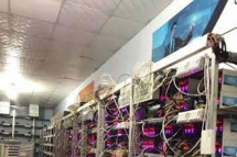 Tiền ảo biến mất cùng giám đốc thật