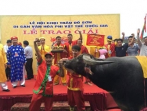 Lễ hội chọi Trâu Đồ Sơn 2018 hấp dẫn ấn tượng