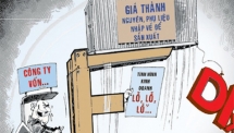 Chống chuyển giá doanh nghiệp có vốn đầu tư nước ngoài FDI cần Kiểm toán Nhà nước vào cuộc