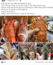 Sôi động thị trường 'giải cứu' tôm hùm