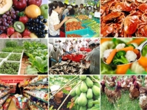 Nửa chặng của năm “bứt phá” 2019