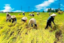 Đẩy mạnh phát triển kinh tế hợp tác, hợp tác xã