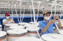 50 BHXH tỉnh, TP nhận được hồ sơ đề nghị tạm dừng đóng quỹ hưu trí và tử tuất