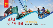 Mắm Quang Hải - tươi màu nắng, mặn mòi vị biển