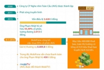 Ông Lê Nam Trà, Phạm Đình Trọng có trách nhiệm gì trong định giá AVG?