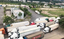 Nông sản ùn ứ vì xuất tiểu ngạch