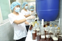 Sự yếu thế của doanh nghiệp nhỏ và vừa