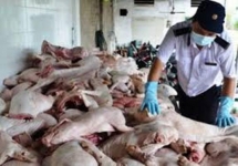 Phát hiện hàng chục tấn thực phẩm tươi sống và đông lạnh không rõ nguồn gốc
