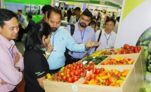 Tín hiệu sáng từ thị trường có FTA