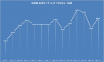 Tỷ giá "phập phồng" theo NDT, doanh nghiệp nhập khẩu “đau đầu”