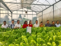 Hiệp hội Doanh nghiệp TP Thanh Hóa và Tập đoàn Win 2000 Trung Quốc thăm doanh nghiệp hội viên