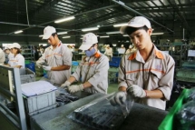 Giải pháp tái cấu trúc nợ cho doanh nghiệp