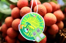 Xây dựng thương hiệu nông sản Việt từ truy xuất nguồn gốc