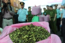 Hải Phòng: Phát hiện hàng tấn lá khát và shisha