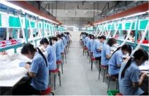 Bị phạt vì không báo cáo việc thay đổi lãnh đạo