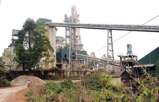Xi măng Bắc Giang bị cưỡng chế thuế, dừng sử dụng h&amp;oacute;a đơn v&amp;igrave; nợ thuế h&amp;agrave;ng tỷ đồng