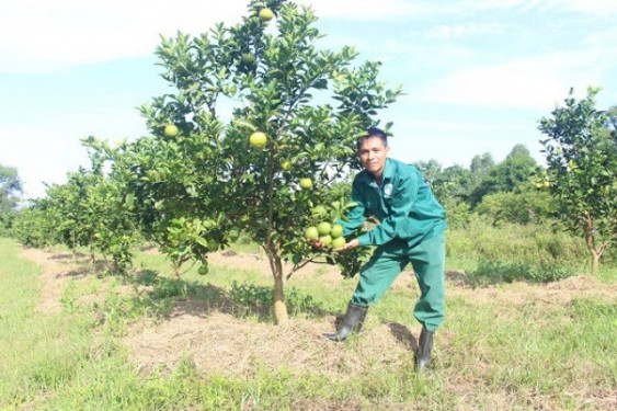 Nghệ An: Hợp tác thúc đẩy tiêu thụ nông sản trên Sàn thương mại điện tử VOSO.VN