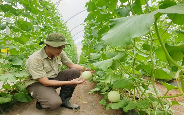 B&amp;igrave;nh Dương lu&amp;ocirc;n ch&amp;uacute; trọng ph&amp;aacute;t triển sản xuất n&amp;ocirc;ng nghiệp v&amp;agrave; gặt h&amp;aacute;i được nhiều th&amp;agrave;nh tựu đ&amp;aacute;ng kh&amp;iacute;ch lệ