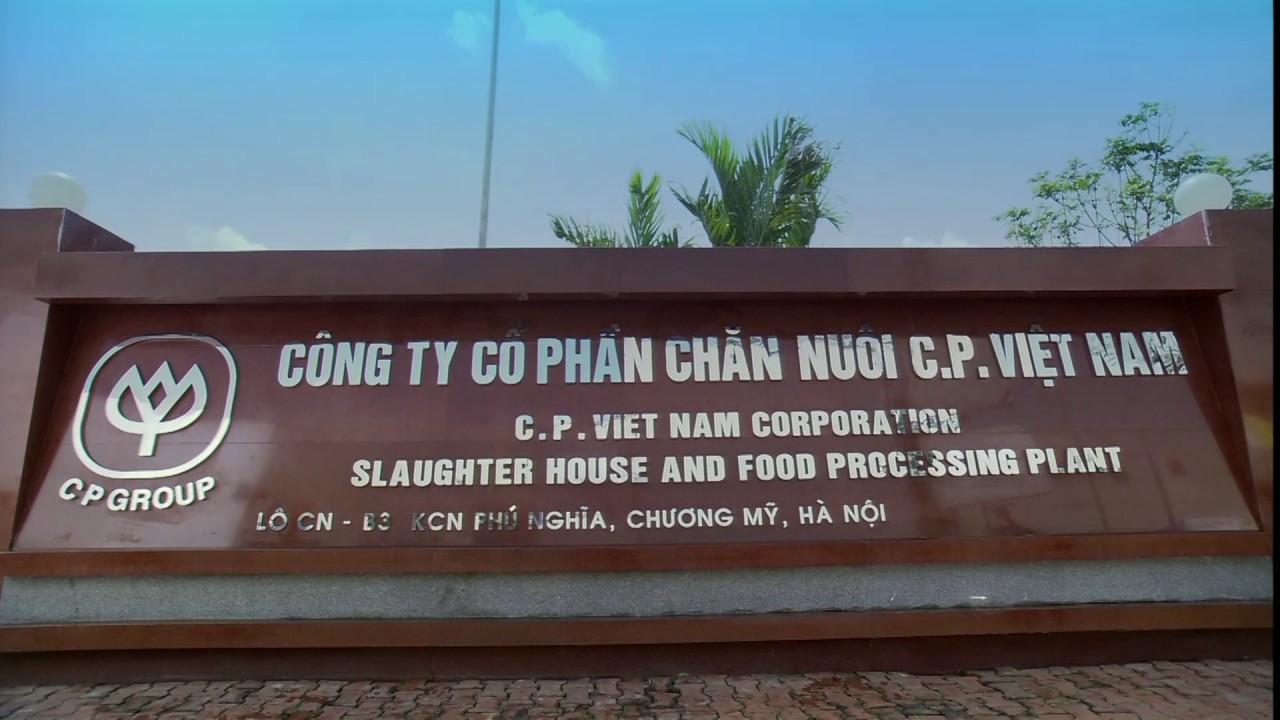Chăn nu&amp;ocirc;i C.P cho h&amp;agrave;ng trăm tỷ th&amp;agrave;nh cổ đ&amp;ocirc;ng lớn của Thực phẩm Sao Ta
