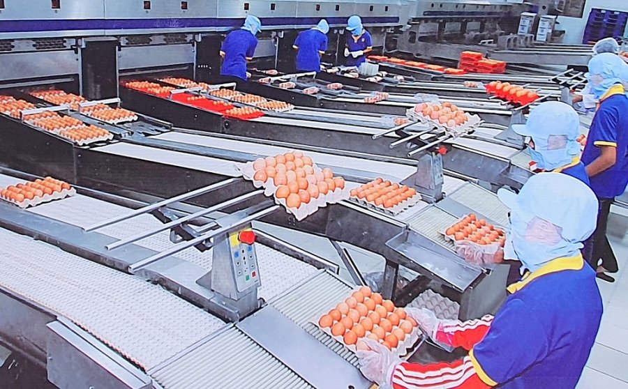 T&amp;igrave;nh h&amp;igrave;nh hoạt động sản xuất, kinh doanh thương mại của doanh nghiệp đ&amp;atilde; dần ổn định.