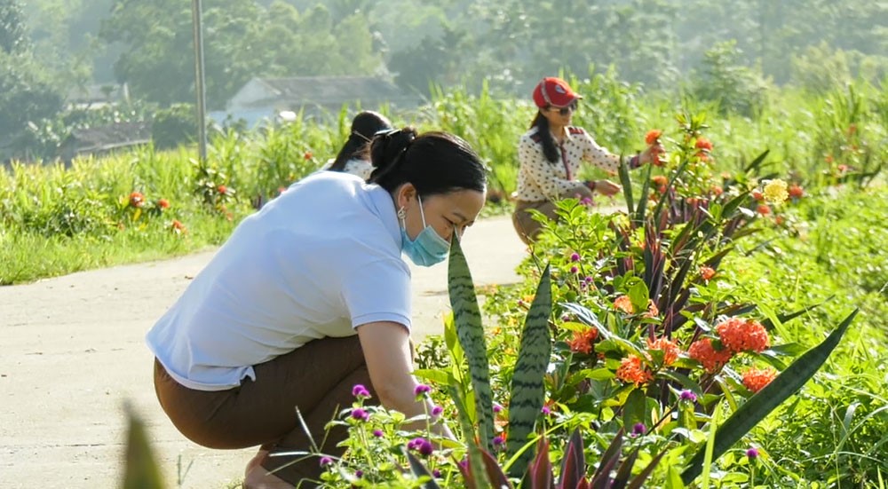 Hội vi&amp;ecirc;n Hội phụ nữ thị trấn Y&amp;ecirc;n Lập (Ph&amp;uacute; Thọ) t&amp;iacute;ch cực trồng v&amp;agrave; chăm s&amp;oacute;c con đường hoa
