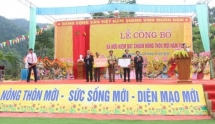 Nghệ An: Xây dựng NTM đi vào chiều sâu, bền vững, hiệu quả, đảm bảo thực chất