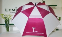 Lãi quý III của Quản lý Tài sản Trí Việt gấp 6,5 lần cùng kỳ