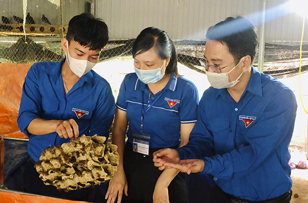 M&amp;ocirc; h&amp;igrave;nh nu&amp;ocirc;i dế của đo&amp;agrave;n vi&amp;ecirc;n thanh ni&amp;ecirc;n x&amp;atilde; Nam Thanh